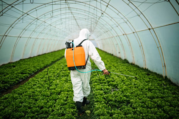 Best Pest Control Near Me  in Croton On Hudson, NY