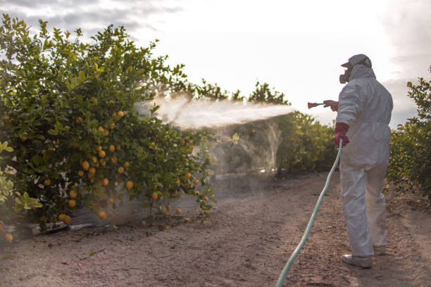 Best Exterminator Services  in Croton On Hudson, NY